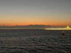 -招商蛇口邮轮母港(观光客运)