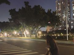 -二沙岛艺术公园