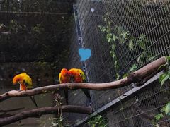 -上海动物园(地铁站)