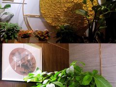 -囍上海鲜火锅酒家(兴宁路店)