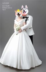 -蒙娜丽莎婚纱摄影(南门店)