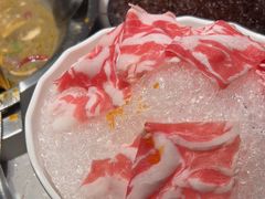 -辣伍鲜毛肚老火锅(元一店)