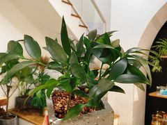 -森野花艺培训·企业团建活动沙龙