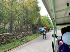 -硗碛藏寨·神木垒景区