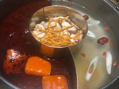 -鲜货俚鲜火锅(青果路店)