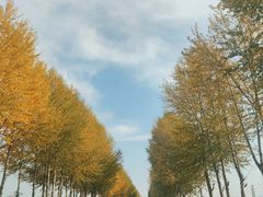 -扁都口生态休闲旅游区