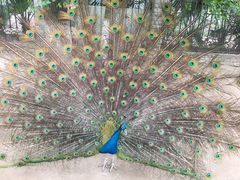 -荆州中山公园动物园