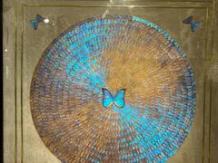 -上海昆虫博物馆