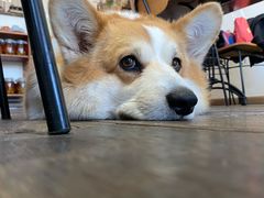 -肥朵食堂(带梦胡同店)