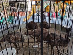 -上海崇明金茂凯悦酒店