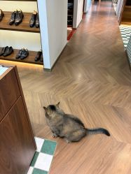 -优刻西服西装定制(金轮国际广场店)