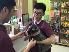-瑞鹏宠物医院·宠保定点·心脏科·内科(御桥分院)