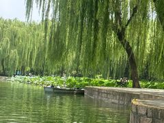 -团结湖公园