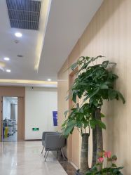 -上海伊莱美医疗美容医院