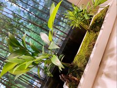 -御仙都北京菜馆·烤鸭店(双井店)