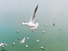 -渤公岛生态公园