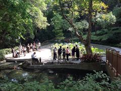 -香港大学