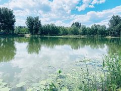 -东郊湿地公园