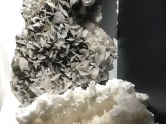 -重庆自然博物馆(新馆)