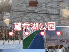 -黛秀湖公园