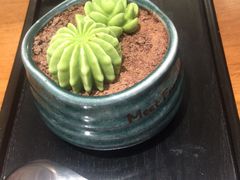 -鲜芋仙(国和店)