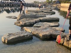 -滆湖低碳生态公园