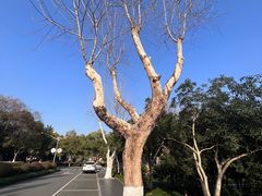 -浙江大学(玉泉校区)