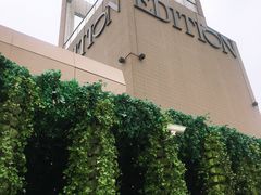-顶层酒吧ROOF(上海艾迪逊酒店)