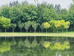 -东郊湿地公园