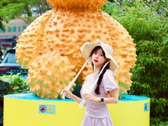 -坂田天虹