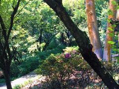 -南山植物园