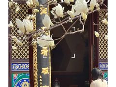 -护国法轮寺