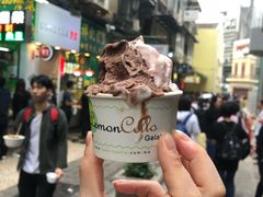 -柠檬车露(卖草地店)