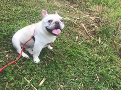 -白鹭湾湿地公园