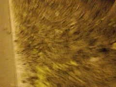 -长春公园(普阳街道)