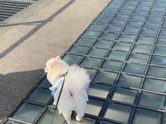 -上海月湖雕塑公园