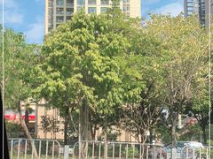 -寻梦盛唐主题水会(龙岗店)