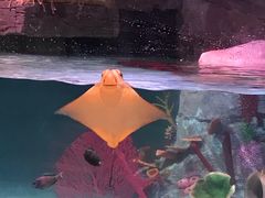 -沈阳海洋探索中心