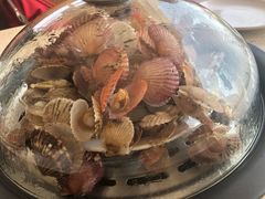 -港畔赶海蒸汽海鲜烧烤自助(仙螺岛店)
