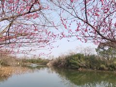 -木守西溪溪隐餐厅