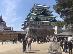 -名古屋城