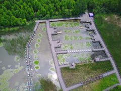 -溱湖国家湿地公园