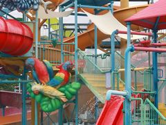 -苏州乐园森林水世界