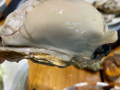 -77号渔船·蒸海鲜青岛菜(积米崖店)