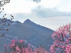 -九皇山景区