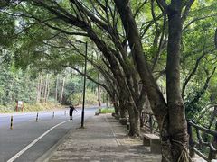 -大雁山风景区