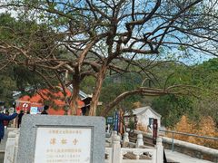 -潭柘寺景区
