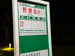 -野狸岛