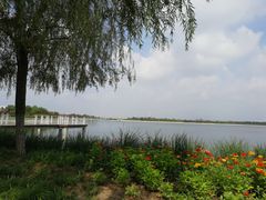 -天津金海湖
