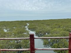 -北海金海湾红树林生态旅游区